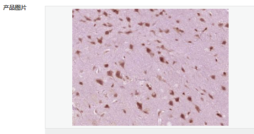 605809912ba46.png image.png