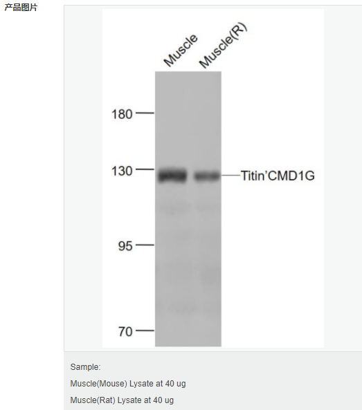 605842f09aa45.png image.png