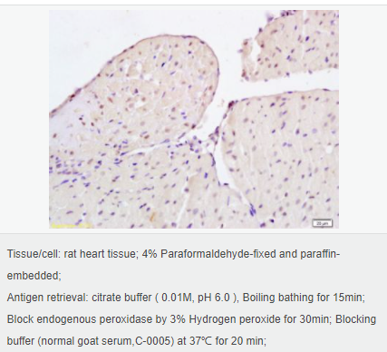 6058504f5cc0f.png image.png