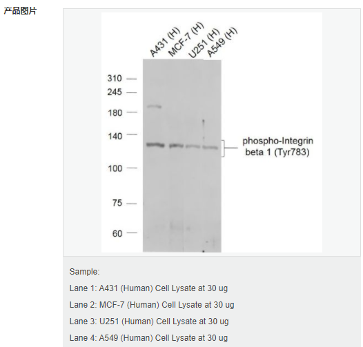 605d8d2024007.png image.png