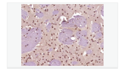 60616c81723bb.png image.png