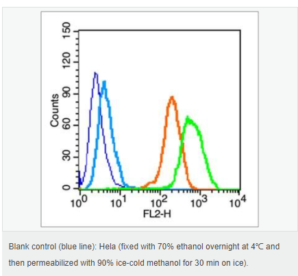 60616d4d5419e.png image.png