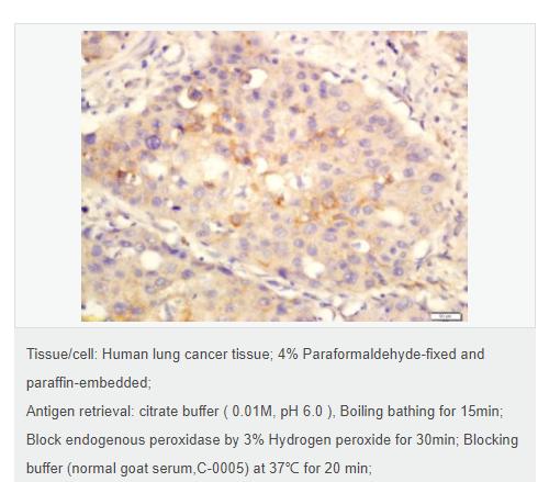 60767e3a1f1e9.png image.png