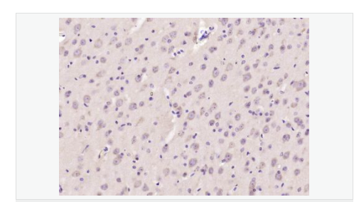 60779e9661154.png image.png