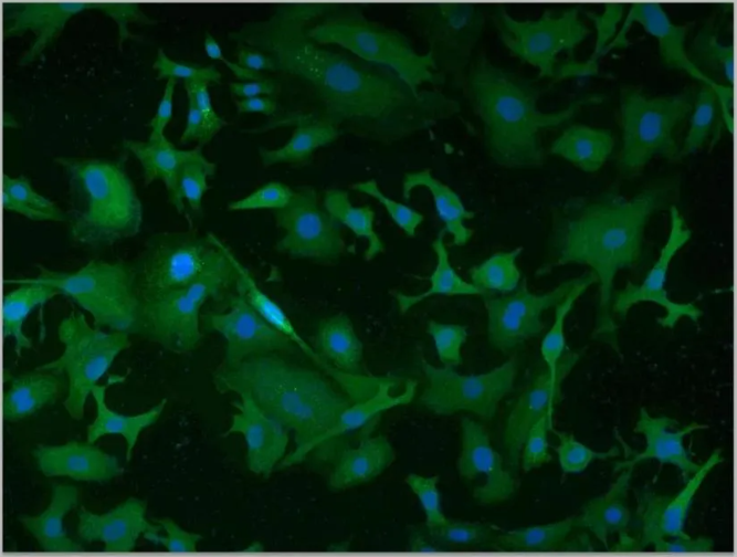 662873c566f2b.png image.png