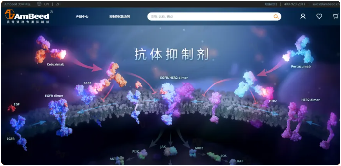 66cc1350efa9d.png image.png